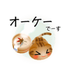 色々な猫9-4 短毛-垂れ耳-茶アメショ（個別スタンプ：28）