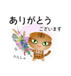 色々な猫9-4 短毛-垂れ耳-茶アメショ（個別スタンプ：31）