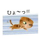 色々な猫9-4 短毛-垂れ耳-茶アメショ（個別スタンプ：34）