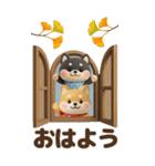 【3D】柴犬のほっこり秋日和【でか文字】（個別スタンプ：2）
