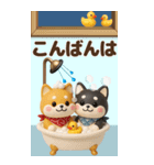 【3D】柴犬のほっこり秋日和【でか文字】（個別スタンプ：4）