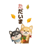 【3D】柴犬のほっこり秋日和【でか文字】（個別スタンプ：13）