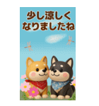 【3D】柴犬のほっこり秋日和【でか文字】（個別スタンプ：27）