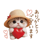 スコティッシュ猫 麦わら帽 お返事 敬語（個別スタンプ：6）