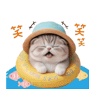 スコティッシュ猫 麦わら帽 お返事 敬語（個別スタンプ：9）