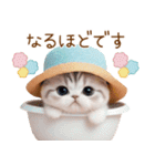 スコティッシュ猫 麦わら帽 お返事 敬語（個別スタンプ：11）