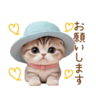 スコティッシュ猫 麦わら帽 お返事 敬語（個別スタンプ：17）