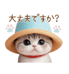 スコティッシュ猫 麦わら帽 お返事 敬語（個別スタンプ：19）