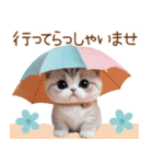 スコティッシュ猫 麦わら帽 お返事 敬語（個別スタンプ：21）
