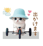 スコティッシュ猫 麦わら帽 お返事 敬語（個別スタンプ：24）