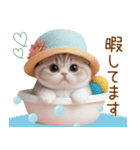 スコティッシュ猫 麦わら帽 お返事 敬語（個別スタンプ：27）