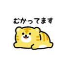 にっこりトラ（文字付き）（個別スタンプ：13）