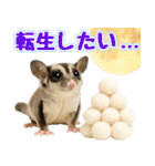 フクロモモンガ❤実りの秋は大豊作（個別スタンプ：4）