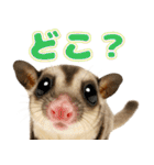 フクロモモンガ❤実りの秋は大豊作（個別スタンプ：12）