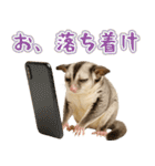 フクロモモンガ❤実りの秋は大豊作（個別スタンプ：22）
