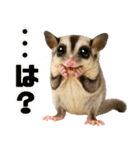 フクロモモンガ❤実りの秋は大豊作（個別スタンプ：27）