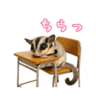 フクロモモンガ❤実りの秋は大豊作（個別スタンプ：29）