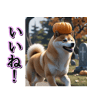 飛び出す★秋を感じる・柴犬__毎日使える（個別スタンプ：6）