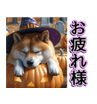 飛び出す★秋を感じる・柴犬__毎日使える（個別スタンプ：7）