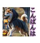 飛び出す★秋を感じる・柴犬__毎日使える（個別スタンプ：14）