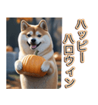 飛び出す★秋を感じる・柴犬__毎日使える（個別スタンプ：17）