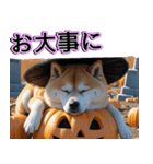 飛び出す★秋を感じる・柴犬__毎日使える（個別スタンプ：19）