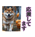 飛び出す★秋を感じる・柴犬__毎日使える（個別スタンプ：20）