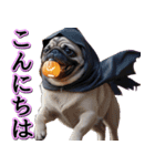 飛び出す★秋を感じる・パグ犬ハロウィン（個別スタンプ：13）