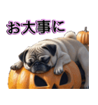 飛び出す★秋を感じる・パグ犬ハロウィン（個別スタンプ：19）