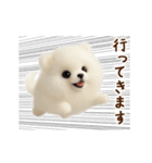 動く♡羊毛ポメラニアンの家族連絡（個別スタンプ：8）