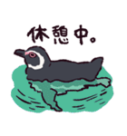 マゼランペンギンです（個別スタンプ：1）