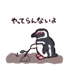 マゼランペンギンです（個別スタンプ：4）