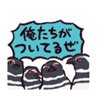 マゼランペンギンです（個別スタンプ：8）
