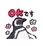 マゼランペンギンです（個別スタンプ：9）