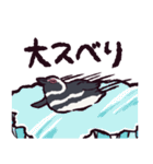 マゼランペンギンです（個別スタンプ：13）