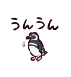マゼランペンギンです（個別スタンプ：26）