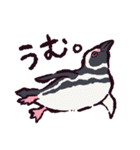 マゼランペンギンです（個別スタンプ：32）