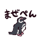 マゼランペンギンです（個別スタンプ：39）