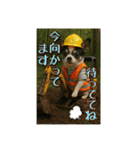 現場監督をしているチワワのぎゅうだよ！（個別スタンプ：7）