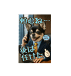 現場監督をしているチワワのぎゅうだよ！（個別スタンプ：8）