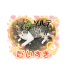 ソルテと目がキレイ（個別スタンプ：1）