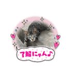 ソルテと目がキレイ（個別スタンプ：4）