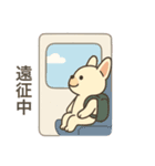 推し活♡フレンチブルドッグ（個別スタンプ：11）