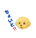 こいぬGRw24（個別スタンプ：3）