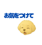 こいぬGRw24（個別スタンプ：8）