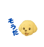 こいぬGRw24（個別スタンプ：11）