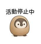 【辛辣】爆笑★可愛い赤ちゃんペンギン（個別スタンプ：14）