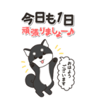 やさしい黒柴『仕事＆連絡』（個別スタンプ：3）