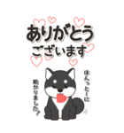 やさしい黒柴『仕事＆連絡』（個別スタンプ：5）