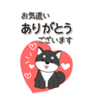 やさしい黒柴『仕事＆連絡』（個別スタンプ：8）